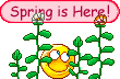 : spring :